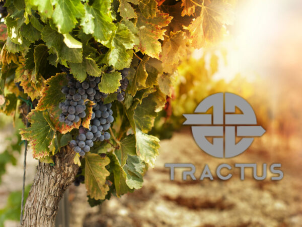 trazabilidad-alimentaria-vino-tractus-logo